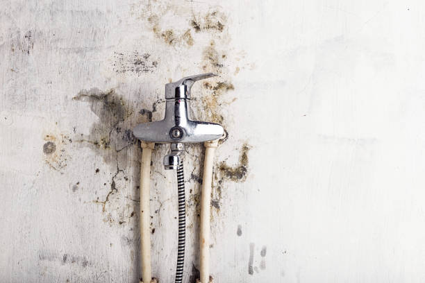 Crawl Space Mold Removal in Newberg, OR