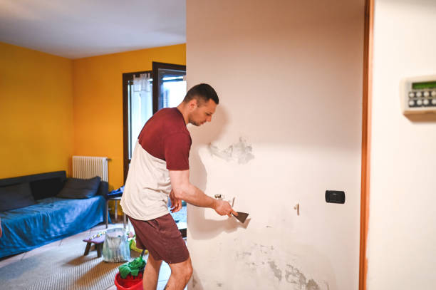  Newberg, OR Mold Removal Pros